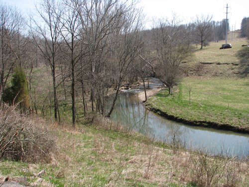 Property photo 7 - 137 Acres in 2 Tracts - 64 Tillable Acres, Potential Building Sites, Hunting